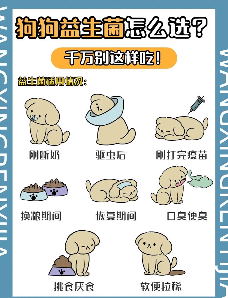 狗狗可以吃益生菌吗_狗狗能吃益生菌粉吗