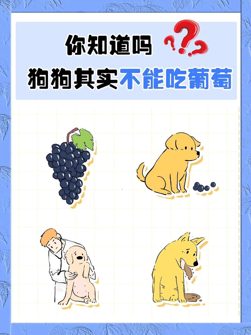 葡萄糖狗狗能喝吗，小狗能喝葡萄糖？