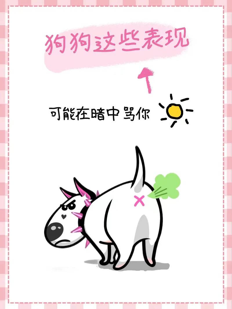  狗狗调皮不听话怎么办，狗狗很调皮教不听怎么办-第5张图片-后鲨宠物