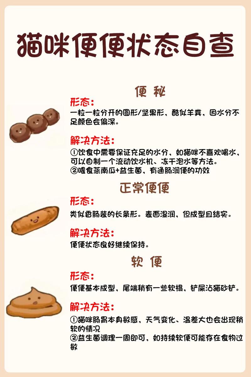 猫咪软便带血但很活泼,猫咪软便还有点血?-第3张图片-后鲨宠物 猫咪软便带血但很活泼,猫咪软便还有点血?-第3张图片-后鲨宠物