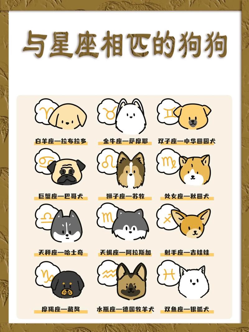 狗狗乱跑怎么办,狗狗乱跑怎么办??-第4张图片-后鲨宠物 狗狗乱跑怎么办,狗狗乱跑怎么办??-第4张图片-后鲨宠物