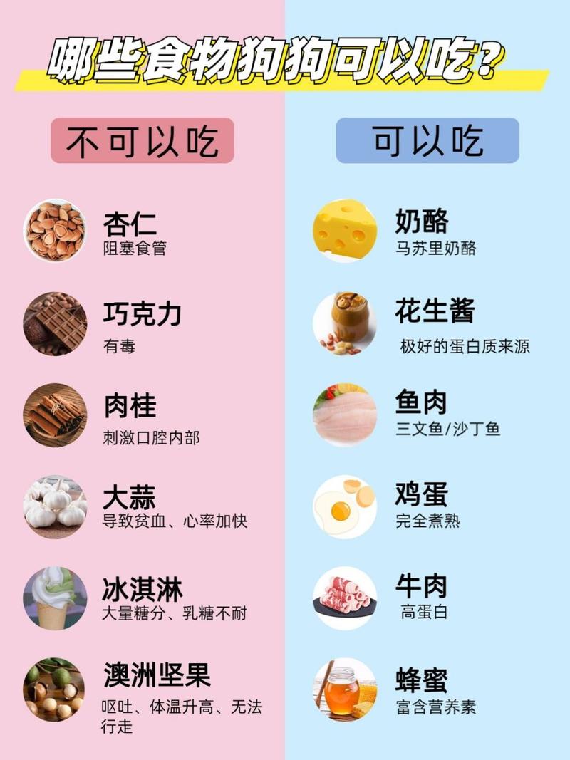 狗狗吃了杏仁怎么办_狗狗吃了一个杏仁怎么办-第3张图片-后鲨宠物 狗狗吃了杏仁怎么办_狗狗吃了一个杏仁怎么办-第3张图片-后鲨宠物