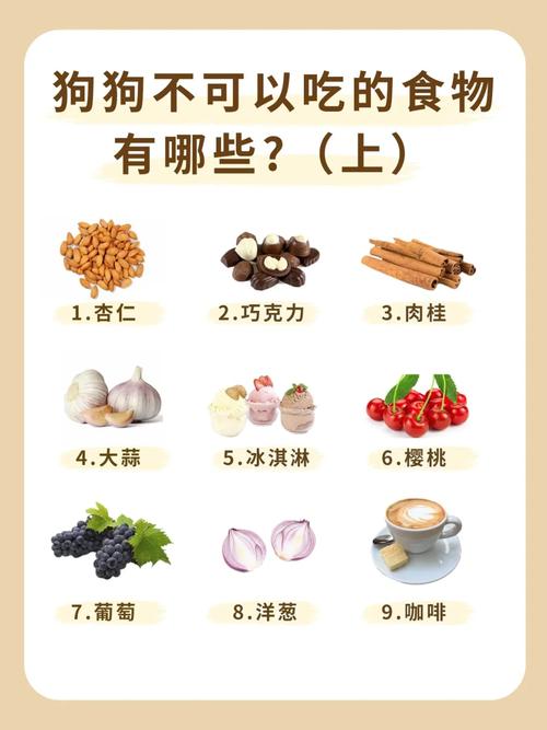 狗狗吃了杏仁怎么办_狗狗吃了一个杏仁怎么办-第4张图片-后鲨宠物 狗狗吃了杏仁怎么办_狗狗吃了一个杏仁怎么办-第4张图片-后鲨宠物