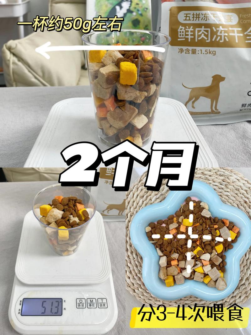  三个月狗狗吃多少狗粮，三个月狗狗吃多少狗粮正常