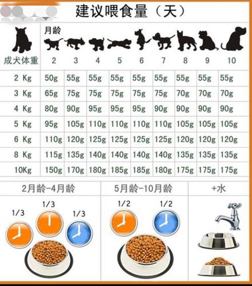 三个月狗狗吃多少狗粮,三个月狗狗吃多少狗粮正常-第2张图片-后鲨宠物 三个月狗狗吃多少狗粮,三个月狗狗吃多少狗粮正常-第2张图片-后鲨宠物