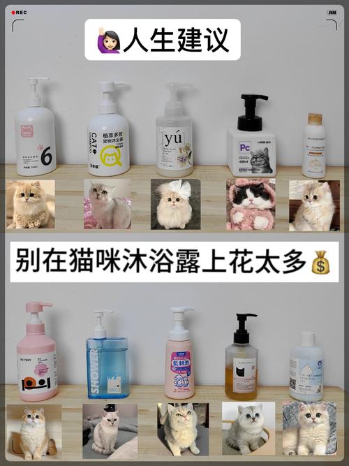 用什么给猫咪洗澡，怎么在家给猫洗澡？-第5张图片-后鲨宠物