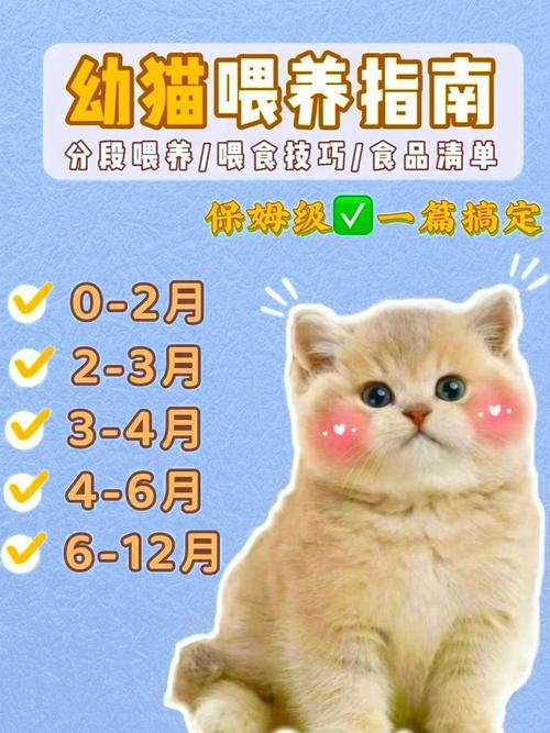 猫咪可以吃奶酪吗,猫能吃奶酪吗?-第5张图片-后鲨宠物 猫咪可以吃奶酪吗,猫能吃奶酪吗?-第5张图片-后鲨宠物