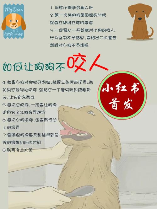 怎么让狗狗不咬人_怎么才能让狗狗不咬人