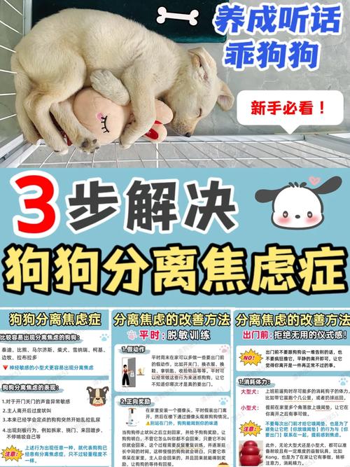 狗狗分离焦虑症的表现,狗狗分离焦虑症的表现图片?-第1张图片-后鲨宠物 狗狗分离焦虑症的表现,狗狗分离焦虑症的表现图片?-第1张图片-后鲨宠物