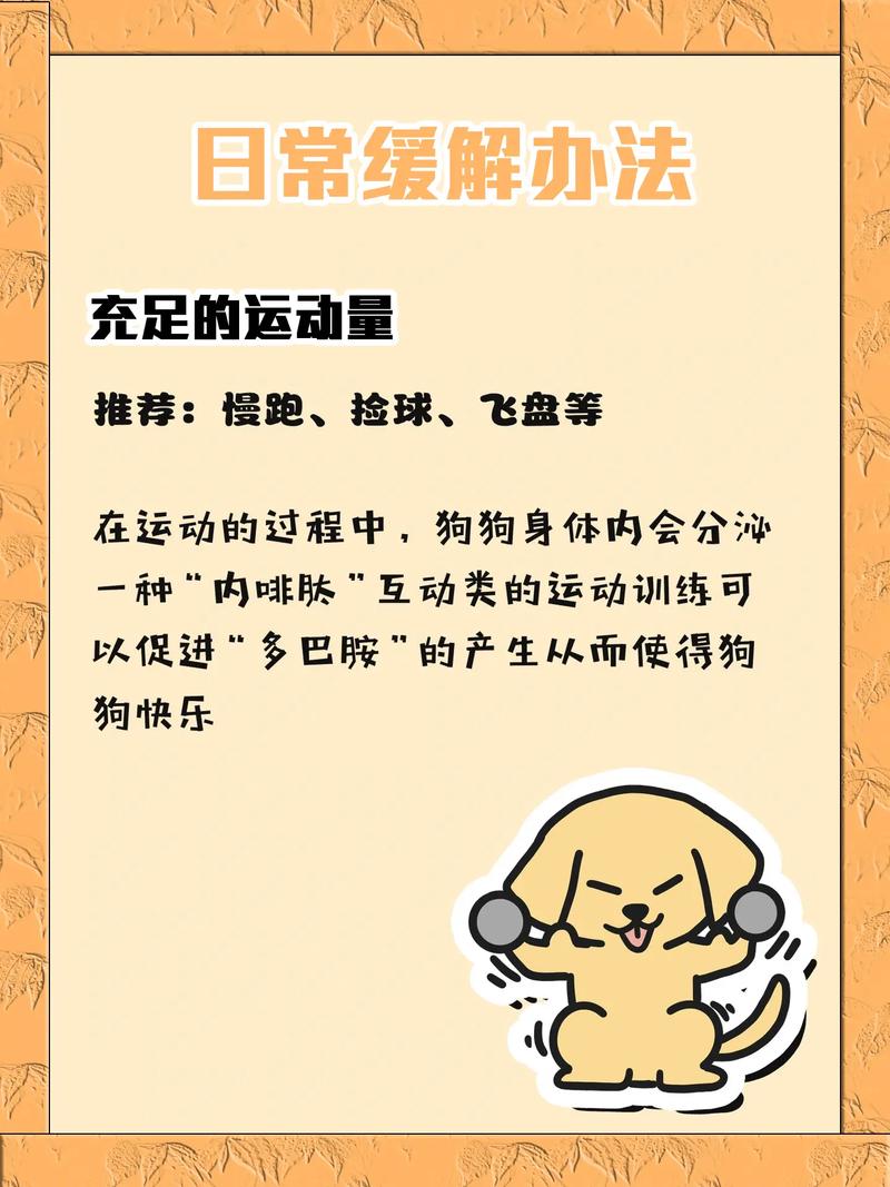 狗狗分离焦虑症的表现,狗狗分离焦虑症的表现图片?-第4张图片-后鲨宠物 狗狗分离焦虑症的表现,狗狗分离焦虑症的表现图片?-第4张图片-后鲨宠物