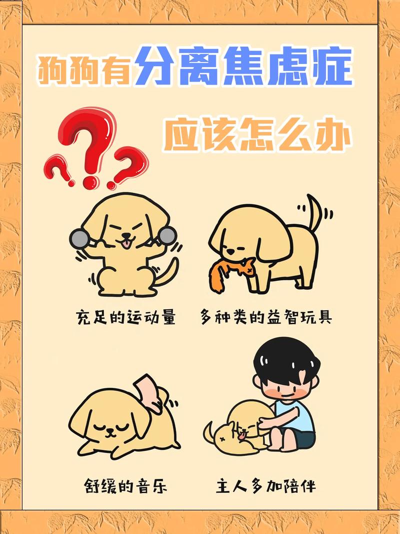 狗狗分离焦虑症的表现,狗狗分离焦虑症的表现图片?-第5张图片-后鲨宠物 狗狗分离焦虑症的表现,狗狗分离焦虑症的表现图片?-第5张图片-后鲨宠物