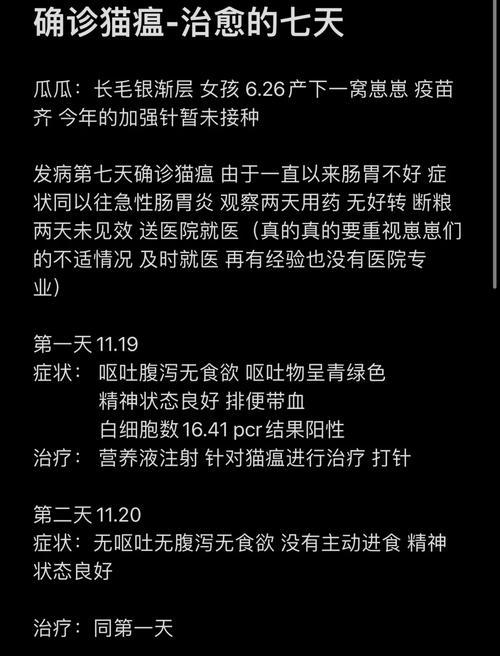  猫咪得猫瘟能治好吗，猫咪得猫瘟能治好吗多少钱-第6张图片-后鲨宠物