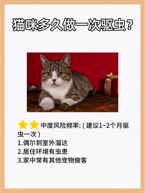  猫咪多久做一次体内驱虫，猫咪一般多久做一次体内驱虫-第3张图片-后鲨宠物