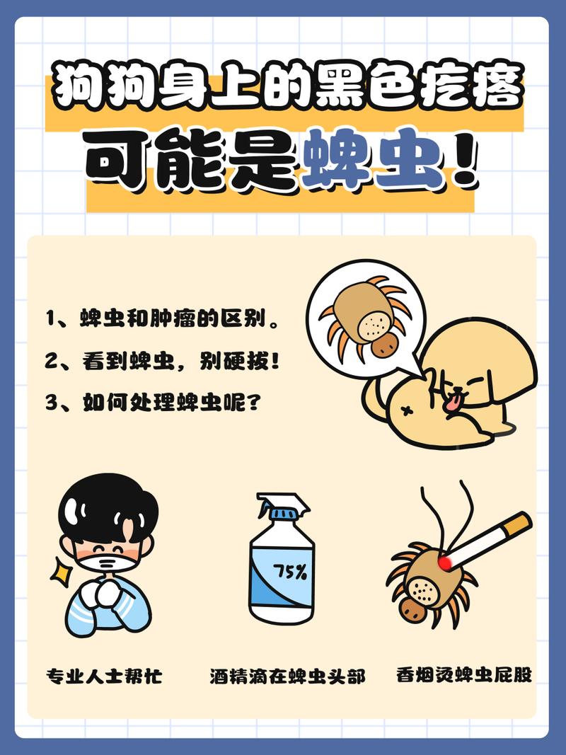 狗狗蜱虫伤口怎么处理,狗狗蜱虫感染溃烂怎么治疗-第6张图片-后鲨宠物 狗狗蜱虫伤口怎么处理,狗狗蜱虫感染溃烂怎么治疗-第6张图片-后鲨宠物