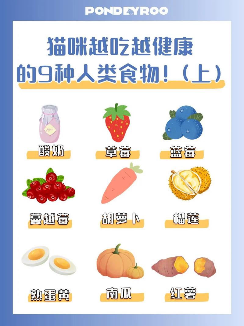 猫咪可以吃人吃的药吗_猫能吃人的药物吗