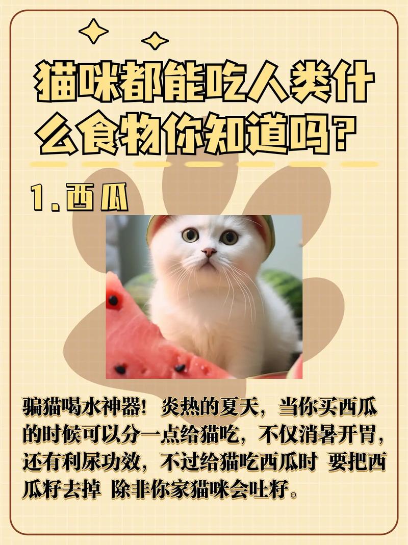 猫咪可以吃人吃的药吗_猫能吃人的药物吗-第2张图片-后鲨宠物 猫咪可以吃人吃的药吗_猫能吃人的药物吗-第2张图片-后鲨宠物