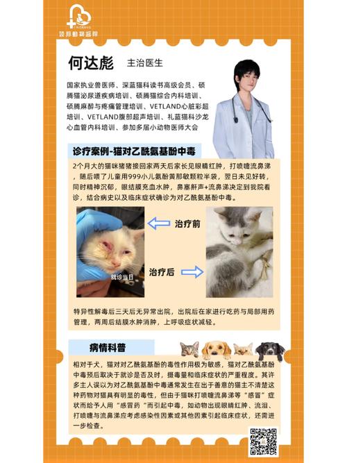 猫咪可以吃人吃的药吗_猫能吃人的药物吗-第4张图片-后鲨宠物 猫咪可以吃人吃的药吗_猫能吃人的药物吗-第4张图片-后鲨宠物