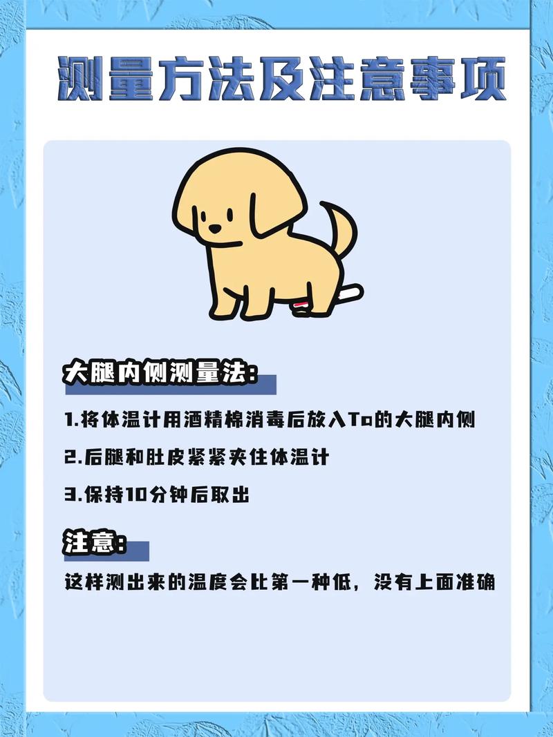 如何知道狗狗发烧_狗狗感冒的症状有哪些症状-第5张图片-后鲨宠物 如何知道狗狗发烧_狗狗感冒的症状有哪些症状-第5张图片-后鲨宠物