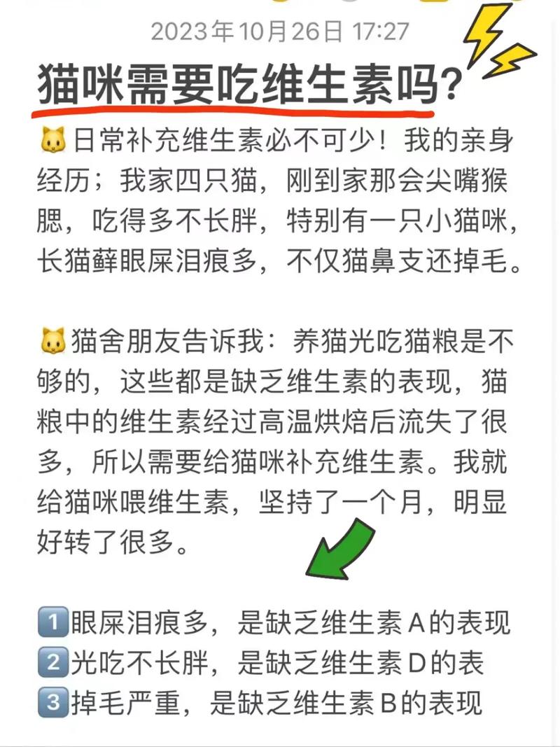 猫咪补充维生素b_猫咪补充维生素B的食物