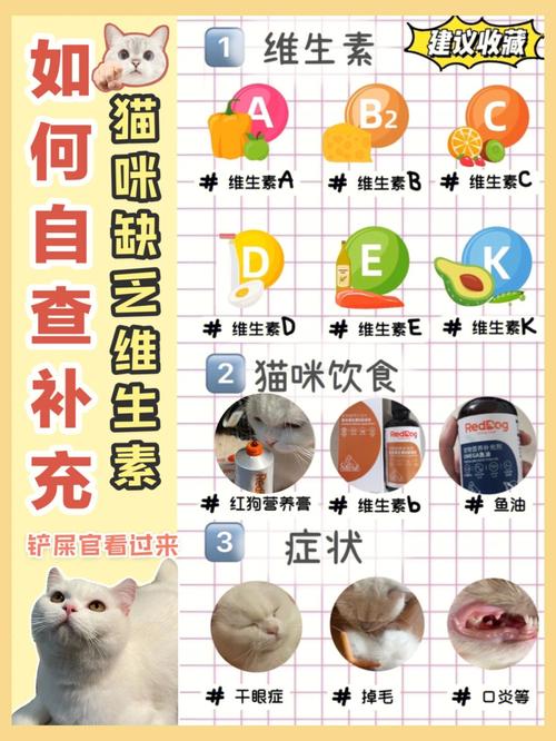 猫咪补充维生素b_猫咪补充维生素B的食物-第2张图片-后鲨宠物 猫咪补充维生素b_猫咪补充维生素B的食物-第2张图片-后鲨宠物