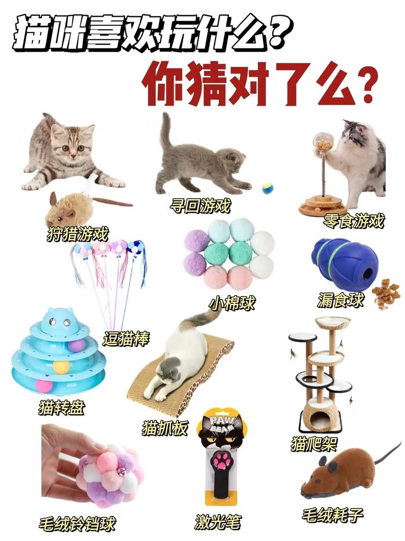  小猫咪喜欢玩什么，小猫喜欢玩什么东西?-第3张图片-后鲨宠物
