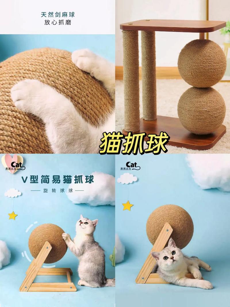  小猫咪喜欢玩什么，小猫喜欢玩什么东西?-第5张图片-后鲨宠物