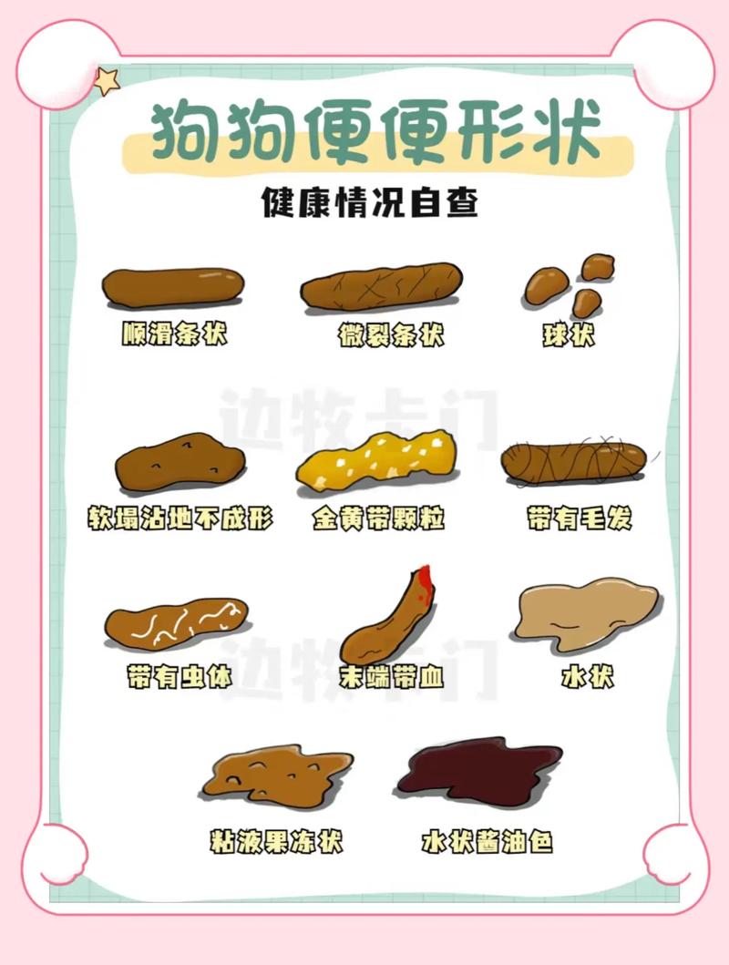 猫咪拉稀带血怎么办,猫咪拉稀带有血-第2张图片-后鲨宠物 猫咪拉稀带血怎么办,猫咪拉稀带有血-第2张图片-后鲨宠物