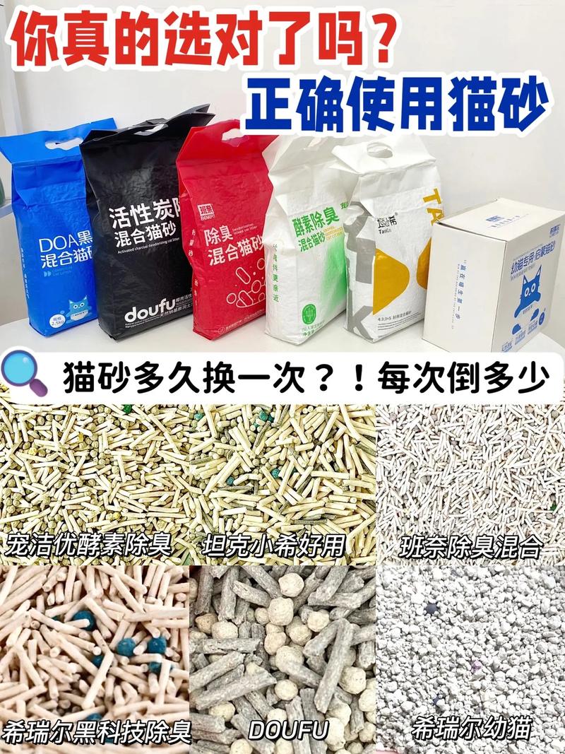 猫咪猫砂多久换一次,猫砂多长时候换一次-第4张图片-后鲨宠物 猫咪猫砂多久换一次,猫砂多长时候换一次-第4张图片-后鲨宠物