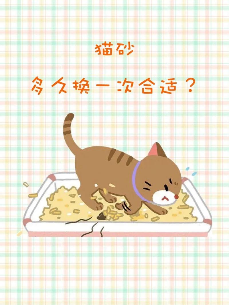 猫咪猫砂多久换一次,猫砂多长时候换一次-第5张图片-后鲨宠物 猫咪猫砂多久换一次,猫砂多长时候换一次-第5张图片-后鲨宠物