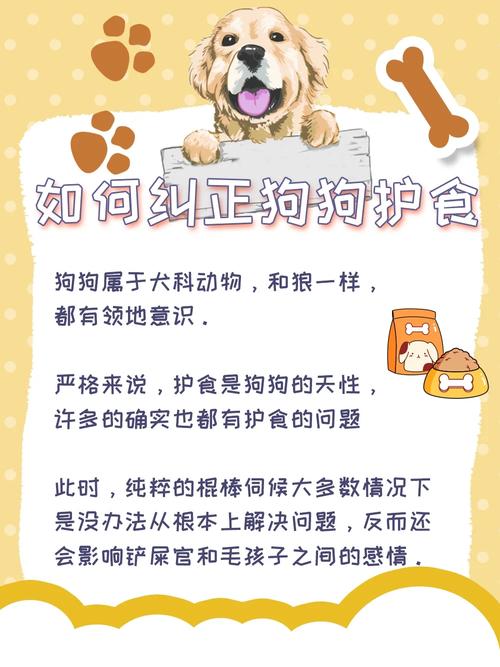  狗狗护食如何纠正，狗狗护食的前兆