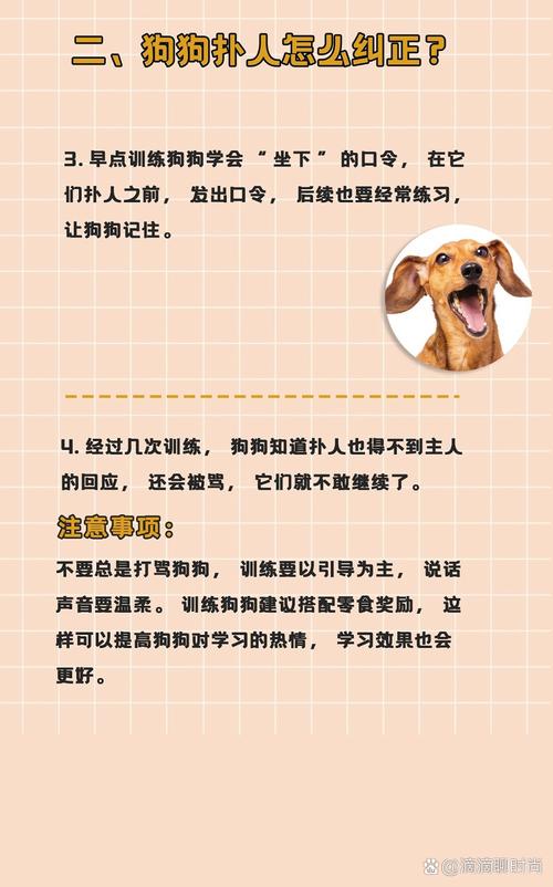 狗狗护食如何纠正,狗狗护食的前兆-第2张图片-后鲨宠物 狗狗护食如何纠正,狗狗护食的前兆-第2张图片-后鲨宠物