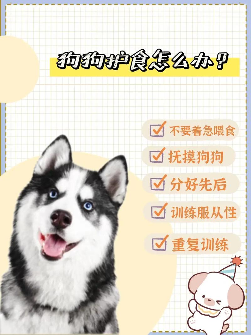 狗狗护食如何纠正,狗狗护食的前兆-第4张图片-后鲨宠物 狗狗护食如何纠正,狗狗护食的前兆-第4张图片-后鲨宠物