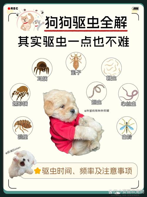 狗狗吃驱虫药后的反应_狗狗吃驱虫药的注意事项-第5张图片-后鲨宠物 狗狗吃驱虫药后的反应_狗狗吃驱虫药的注意事项-第5张图片-后鲨宠物