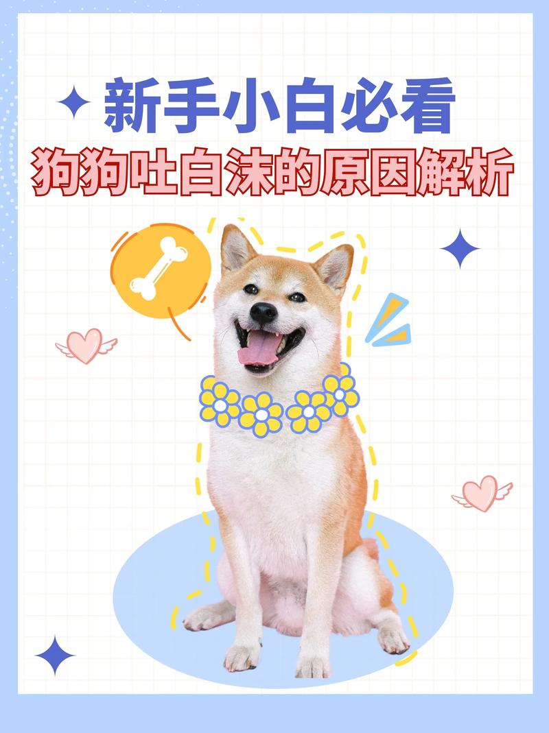 狗狗拉稀吐白沫怎么办，狗狗拉稀呕吐白沫怎么办？