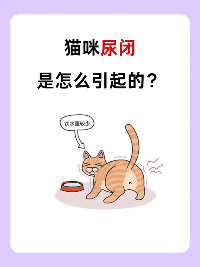 猫咪自闭症的表现_猫咪自闭症的表现是什么-第3张图片-后鲨宠物