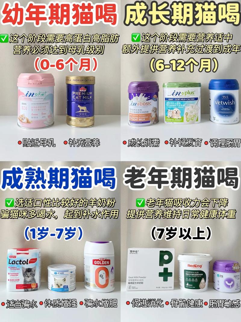 猫咪可以喝奶粉吗,猫能喝奶粉吗?铲屎官的疑惑?-第5张图片-后鲨宠物 猫咪可以喝奶粉吗,猫能喝奶粉吗?铲屎官的疑惑?-第5张图片-后鲨宠物