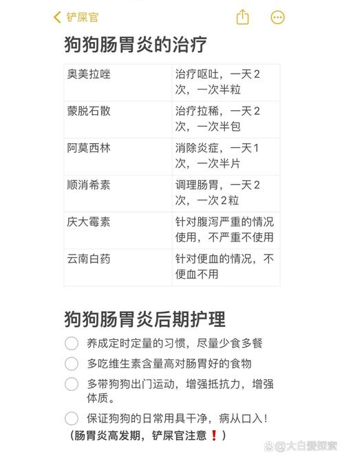 狗狗肠胃炎吃什么药最管用,狗狗肠胃炎吃什么食物调理?-第4张图片-后鲨宠物 狗狗肠胃炎吃什么药最管用,狗狗肠胃炎吃什么食物调理?-第4张图片-后鲨宠物