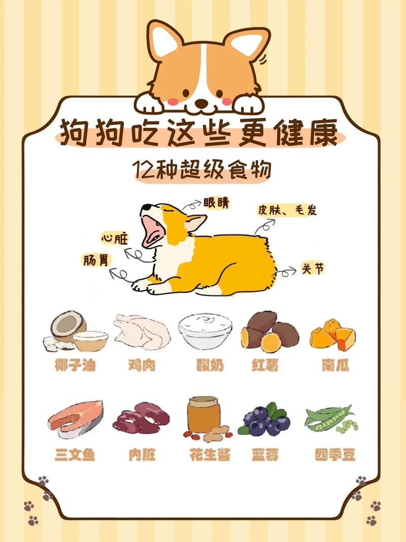  狗狗吃什么东西，狗狗吃什么东西好
