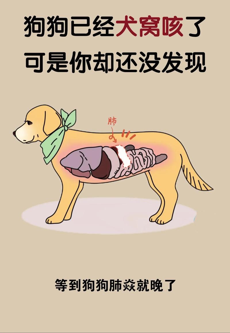 狗狗咳嗽干呕吃什么药_狗狗咳嗽干呕吃什么药止咳效果好-第2张图片-后鲨宠物