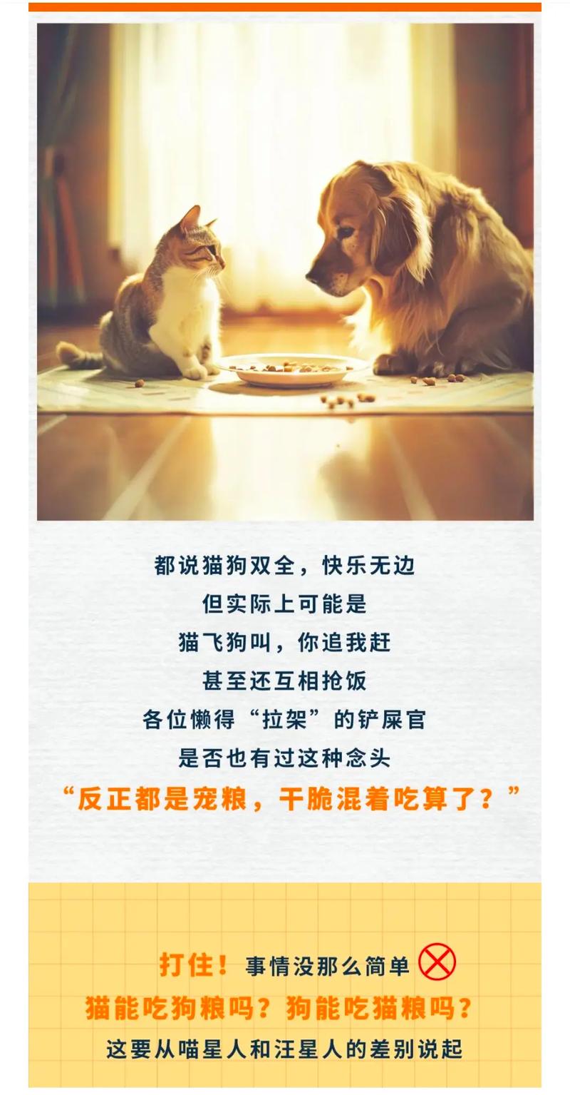 狗狗能吃猫粮吗，狗狗能吃猫粮吗狗狗身体里面需要牛磺酸吗？-第3张图片-后鲨宠物