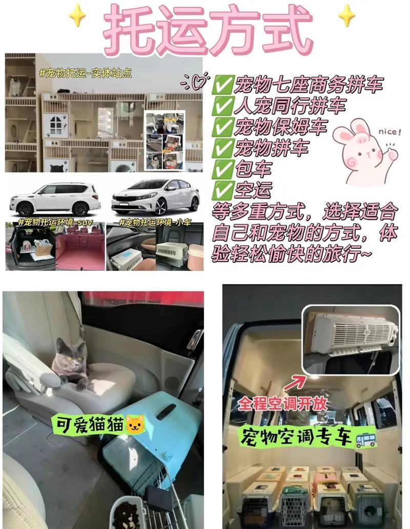 猫咪托运安全吗_猫咪托运会不会很难受-第4张图片-后鲨宠物 猫咪托运安全吗_猫咪托运会不会很难受-第4张图片-后鲨宠物