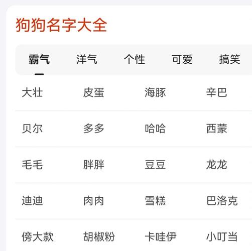 狗狗名字大全洋气,狗狗名字大全洋气点的母-第2张图片-后鲨宠物 狗狗名字大全洋气,狗狗名字大全洋气点的母-第2张图片-后鲨宠物