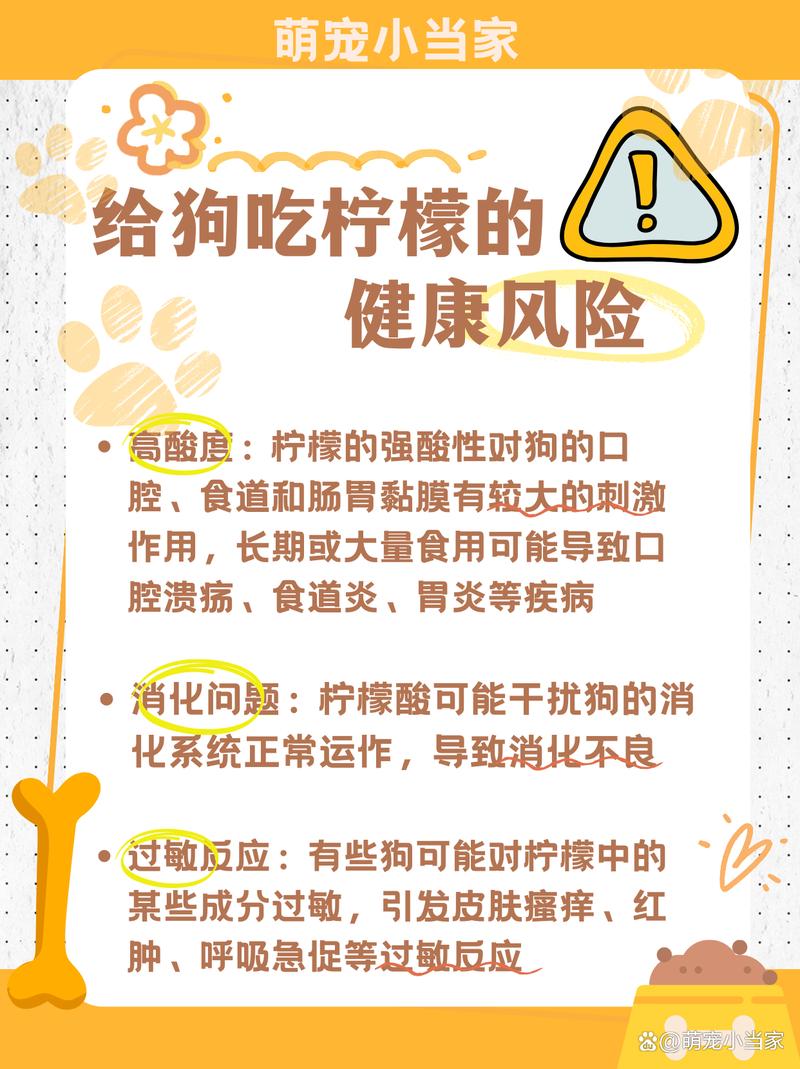 狗狗可以喝柠檬水吗,狗狗能不能喝柠檬水?-第3张图片-后鲨宠物 狗狗可以喝柠檬水吗,狗狗能不能喝柠檬水?-第3张图片-后鲨宠物