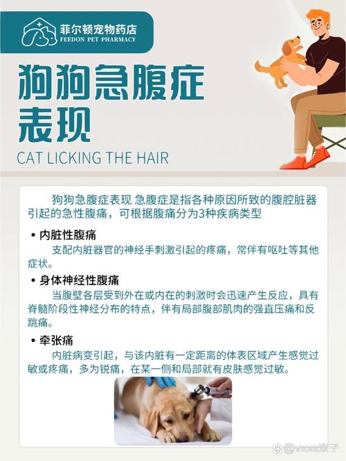 狗狗肚子疼怎么办_狗狗肚子疼怎么办最快最有效-第5张图片-后鲨宠物