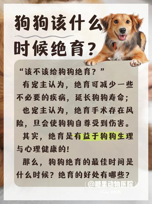 狗狗多大可以绝育_小狗绝育多少钱