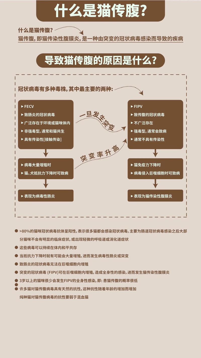  猫咪消化不良症状，猫咪消化不良症状