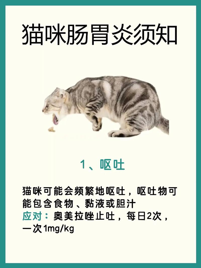  猫咪消化不良症状，猫咪消化不良症状-第3张图片-后鲨宠物