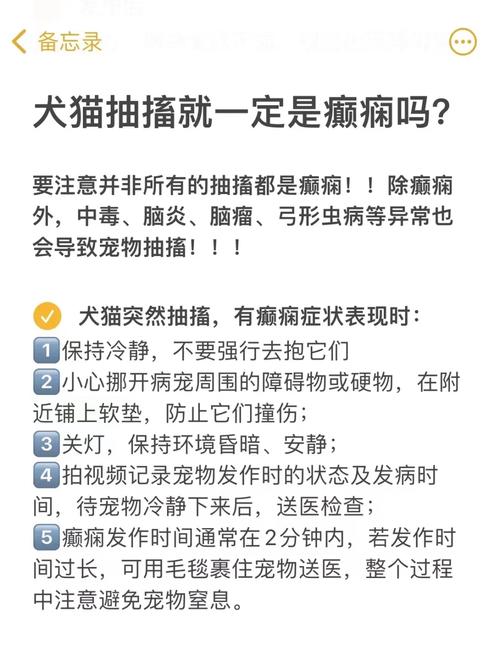  狗狗癫疯怎么处理，狗狗癫疯病的早期症状-第5张图片-后鲨宠物