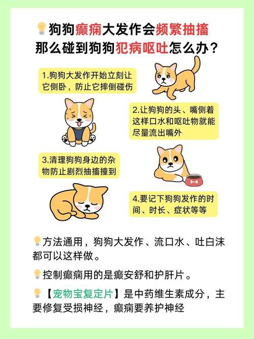  狗狗癫疯怎么处理，狗狗癫疯病的早期症状-第6张图片-后鲨宠物