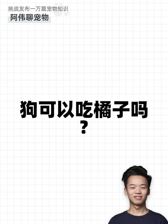 狗狗可以吃橙子吗,狗狗吃橙子吗?-第2张图片-后鲨宠物 狗狗可以吃橙子吗,狗狗吃橙子吗?-第2张图片-后鲨宠物